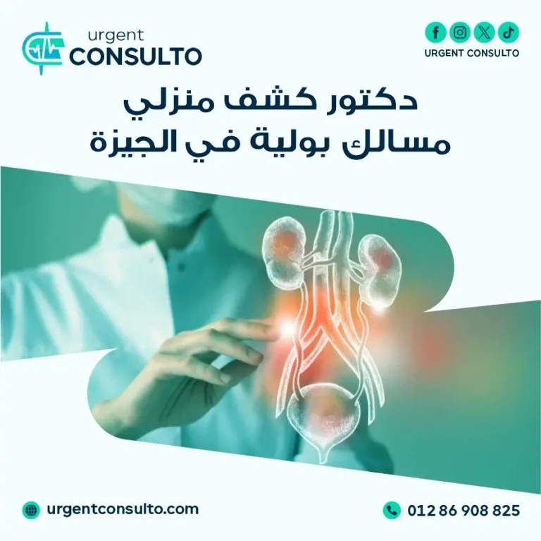 افضل دكتور مسالك بولية كشف منزلي في الجيزة