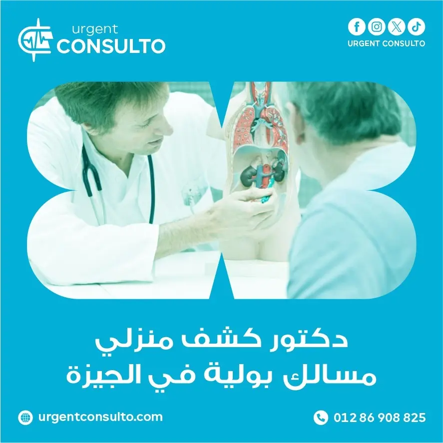 افضل دكتور مسالك بولية كشف منزلي في الجيزة